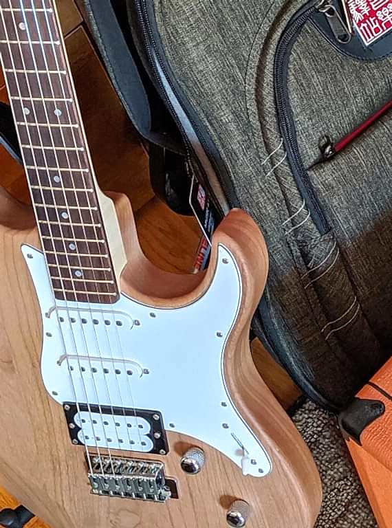 Electric Guitar Buying Guide