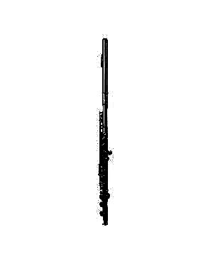 Forte FL1 Beginner Flute with Case